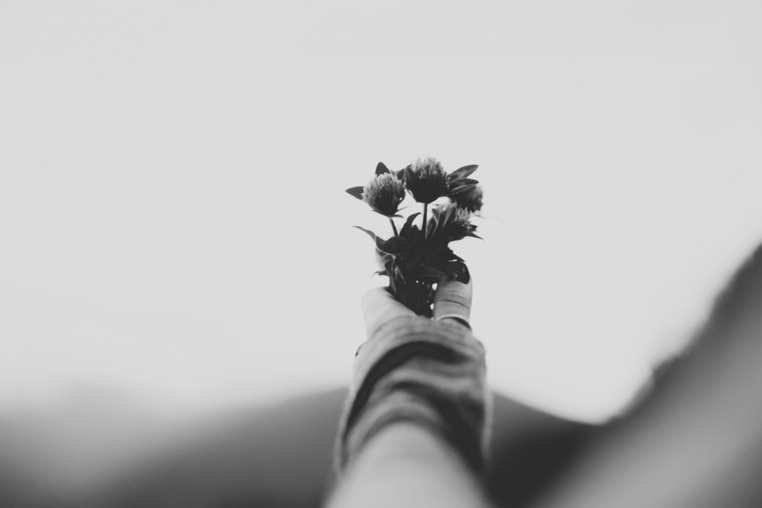 Mãos carregando um buquê de flores em estado de luto
